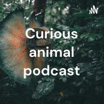 Logo of the podcast Curious animal podcast Podcast Curious animal podcast