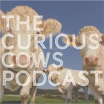 Logo of the podcast Curious Cows Podcast Curious Cows