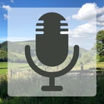 Logo of the podcast Cyfoeth: Podlediad Amgylchedd Cyfoeth Naturiol Cymru Podcast Cyfoeth: Podlediad Amgylchedd Cyfoeth Naturiol Cymru