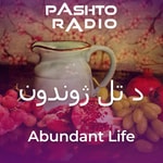 Logo of the podcast د تل ژوندون Podcast د تل ژوندون