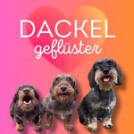 Logo of the podcast Dackelgeflüster Podcast Dackelgeflüster