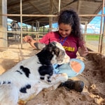 Podcast Dairycast