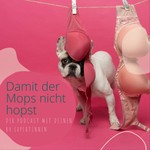 Logo of the podcast damit der Mops nicht hopst Podcast damit der Mops nicht hopst