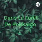Logo of the podcast Dans La Forêt De Hokkaido Podcast Dans La Forêt De Hokkaido