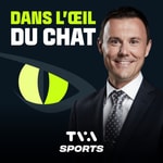 Logo of the podcast Dans l’oeil du chat Podcast Dans l’oeil du chat