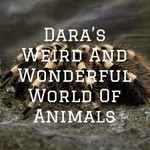 Podcast Dara's Weird And Wonderful World Of Animals