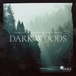 Logo of the podcast Dark Woods