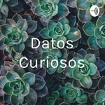 Logo of the podcast Datos Curiosos Podcast Datos Curiosos
