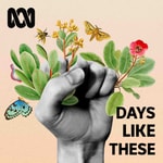 Logo of the podcast Days Like These Podcast Days Like These