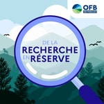 Logo of the podcast De la recherche en réserve Podcast De la recherche en réserve