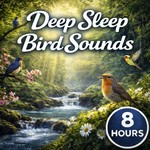 Logo of the podcast Deep Sleep Bird Sounds Podcast Deep Sleep Bird Sounds