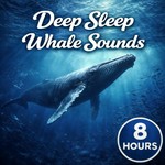 Logo of the podcast Deep Sleep Whale Sounds: Soothing Ocean Ambience for Sleep, Relaxation, Meditation, and Stress Relief Podcast Deep Sleep Whale Sounds: Soothing Ocean Ambience for Sleep, Relaxation, Meditation, and Stress Relief