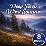 Logo of the podcast Deep Sleep Wind Sounds Podcast Deep Sleep Wind Sounds