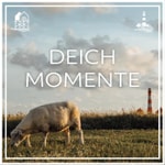 Logo of the podcast Deichmomente Podcast Deichmomente