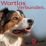 Logo of the podcast Deine Gassi-Runde als Heldenreise mit Deinem Hund wortlos verbunden! Podcast Deine Gassi-Runde als Heldenreise mit Deinem Hund wortlos verbunden!