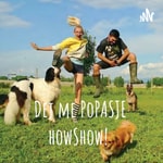 Logo of the podcast Dej me PoPASJE howShow! Podcast Dej me PoPASJE howShow!