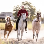 Logo of the podcast Delfin-Horsetraining Podcast Delfin-Horsetraining