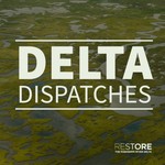 Delta Dispatches Podcast Delta Dispatches