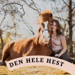 Podcast Den hele hest