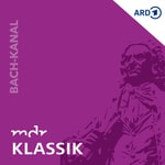 Logo of the podcast Der Bach-Kanal mit Maul & Schrammek Podcast Der Bach-Kanal mit Maul & Schrammek