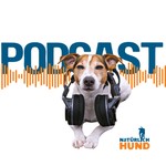 Logo of the podcast Der Natürlich-Hund Podcast Podcast Der Natürlich-Hund Podcast