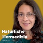 Logo of the podcast Der Podcast mit Dr. Yasmina Attia - AI-Hacks Podcast Der Podcast mit Dr. Yasmina Attia - AI-Hacks