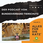 Logo of the podcast Der Podcast vom Bundesverband Tierschutz Podcast Der Podcast vom Bundesverband Tierschutz