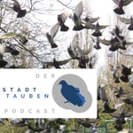 Logo of the podcast Der Stadttaubenpodcast - Vom Stadttaubenprojekt Frankfurt Podcast Der Stadttaubenpodcast - Vom Stadttaubenprojekt Frankfurt