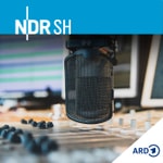 Podcast Der Tag in Schleswig-Holstein