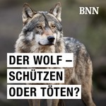 Logo of the podcast Der Wolf – schützen oder töten? Podcast Der Wolf – schützen oder töten?
