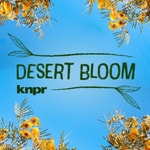 Logo of the podcast Desert Bloom Podcast Desert Bloom