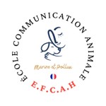 Logo of the podcast Dialogue Instinctif : le podcast pour tout savoir sur la communication animale Podcast Dialogue Instinctif : le podcast pour tout savoir sur la communication animale