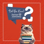 Logo of the podcast Did You Know? An All Things Partner Podcast. Podcast Did You Know? An All Things Partner Podcast.