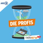 Logo of the podcast Die Profis Podcast Die Profis