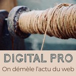 Logo of the podcast Digital Pro - On démêle l‘actu du web Podcast Digital Pro - On démêle l‘actu du web