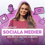 Digitalsnack - Sociala medier Podcast Digitalsnack - Sociala medier