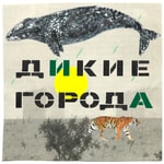 Podcast Дикие города