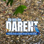 Logo of the podcast Dip into the Darent Podcast Dip into the Darent