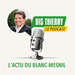 Logo of the podcast Dis Thierry le podcast Podcast Dis Thierry le podcast