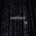 Logo of the podcast Disparus Podcast Disparus