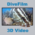 Podcast DiveFilm 3D Video