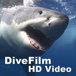 Podcast DiveFilm HD Video