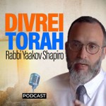 Logo of the podcast Divrei Torah Podcast Divrei Torah