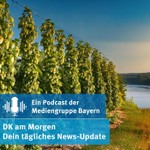 Logo of the podcast DK am Morgen Podcast DK am Morgen