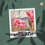 Logo of the podcast ดอกไม้แห่งชีวิต Podcast ดอกไม้แห่งชีวิต