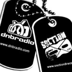Logo of the podcast DNBRADIO.com - Fresh Jungle, Drum and Bass, DNB Podcast DNBRADIO.com - Fresh Jungle, Drum and Bass, DNB