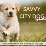 Logo of the podcast Dog & Puppy Training | Savvy City Dog Podcast Dog & Puppy Training | Savvy City Dog