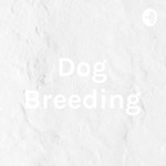 Logo of the podcast Dog Breeding Podcast Dog Breeding