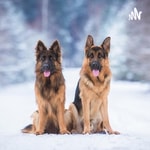 Podcast Dog Breeds 