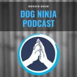 Logo of the podcast Dog Ninja Podcast Podcast Dog Ninja Podcast